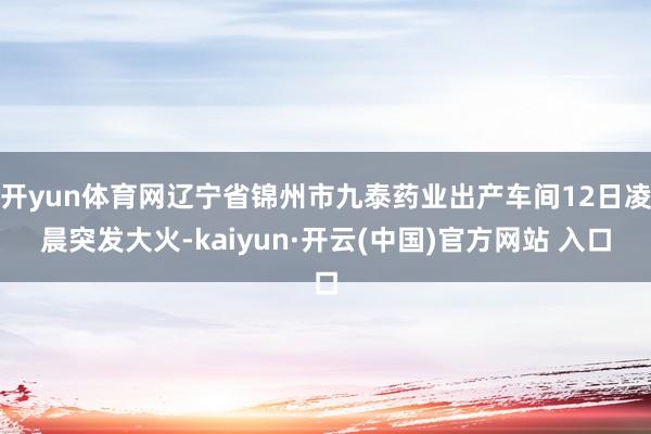 开yun体育网辽宁省锦州市九泰药业出产车间12日凌晨突发大火-kaiyun·开云(中国)官方网站 入口