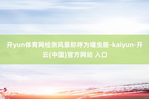 开yun体育网检测风景称呼为噻虫胺-kaiyun·开云(中国)官方网站 入口