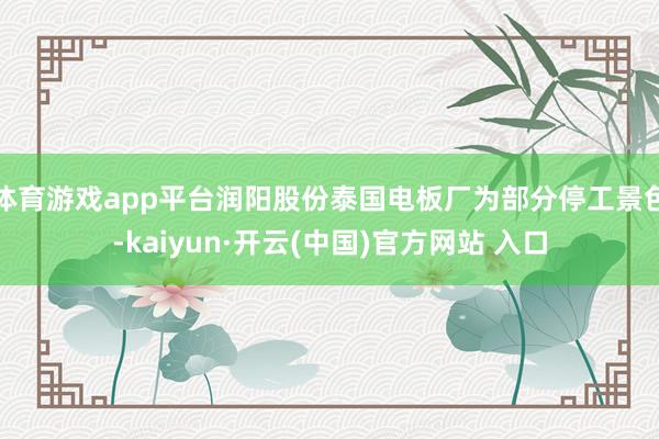 体育游戏app平台润阳股份泰国电板厂为部分停工景色-kaiyun·开云(中国)官方网站 入口