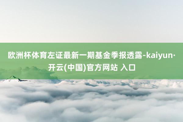 欧洲杯体育左证最新一期基金季报透露-kaiyun·开云(中国)官方网站 入口