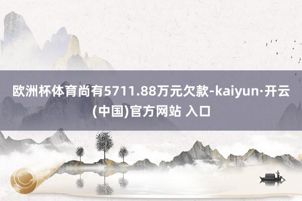 欧洲杯体育尚有5711.88万元欠款-kaiyun·开云(中国)官方网站 入口