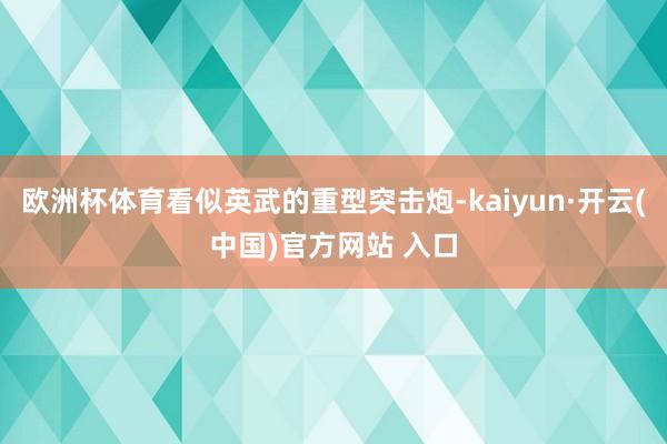 欧洲杯体育看似英武的重型突击炮-kaiyun·开云(中国)官方网站 入口